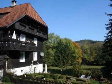 Bright and modern apartment with private terrace in the Black Forest